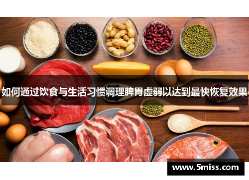 如何通过饮食与生活习惯调理脾胃虚弱以达到最快恢复效果