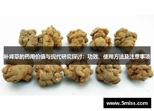 补肾草的药用价值与现代研究探讨：功效、使用方法及注意事项