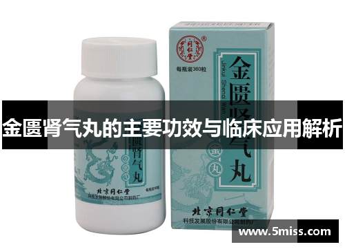 金匮肾气丸的主要功效与临床应用解析